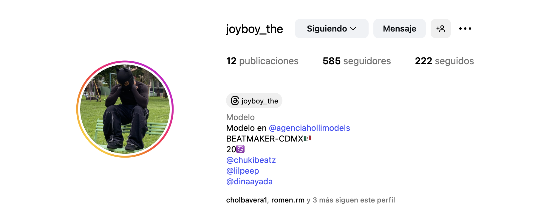 Ejemplo de perfil de modelo Joyboy