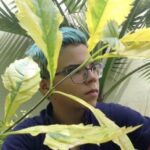 Imagen de perfil
